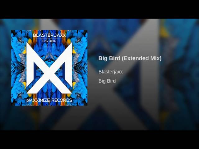 Big Bird (Extended Mix)