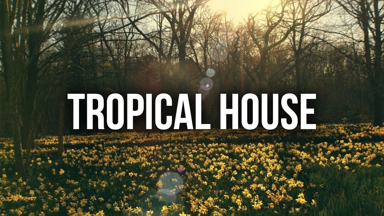 New Tropical House Mix | Remixes Of Popular songs! #3