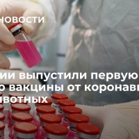 В России выпустили первую партию вакцины от коронавируса для животных