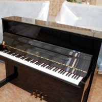 В школы искусств Приангарья до конца года привезут 58 пианино