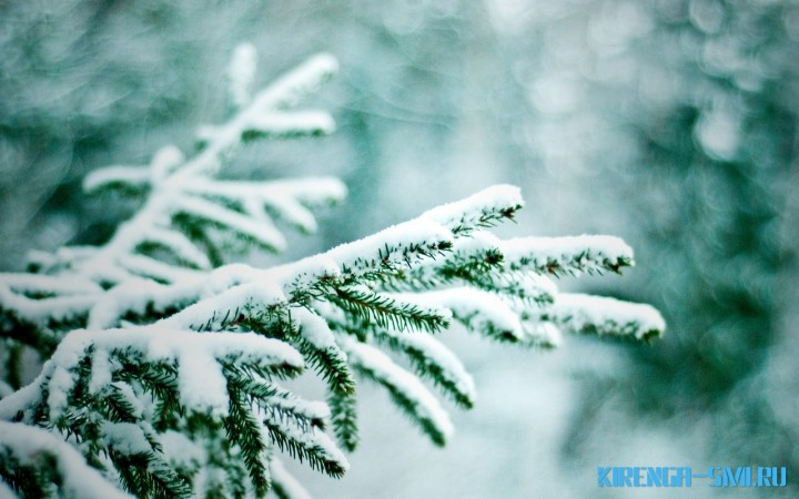 Снежный январь прогнозируют синоптики в Иркутской области