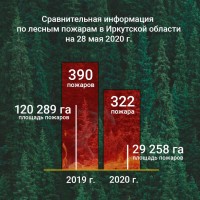 В Иркутской области к утру 29 мая площадь зарегистрированных природных пожаров превысила 3,5 тысячи га