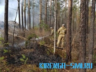 В Иркутской области 6 мая ликвидировано 17 лесных пожаров