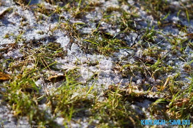 В выходные в Иркутской области ожидаются заморозки, но днём станет теплей