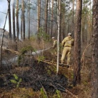 В Иркутской области 6 мая ликвидировано 17 лесных пожаров