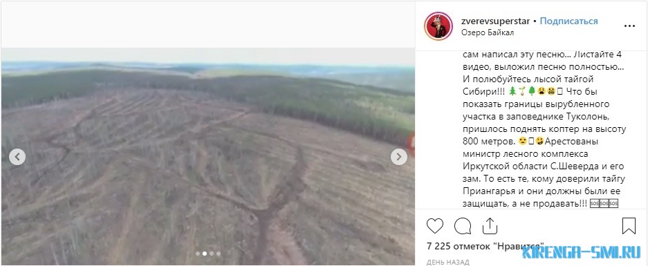 Сергей Зверев выступил в защиту сибирских лесов от вырубки