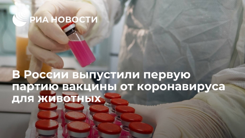 В России выпустили первую партию вакцины от коронавируса для животных