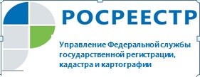 Средний срок кадастрового учета в Иркутской области в 2019 году составил 4 дня.