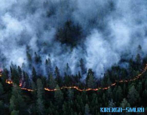 ​В Иркутской области введен режим чрезвычайной ситуации в лесах регионального характера