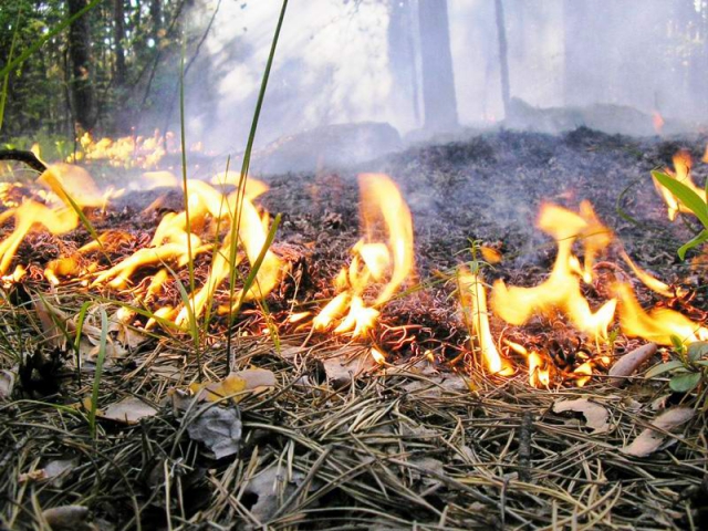 В Жигаловском районе из-за лесных пожаров введен режим ЧС