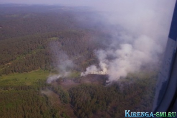 В Иркутской области 29 мая потушили 16 лесных пожаров, локализовано три возгорания, два очага поборо