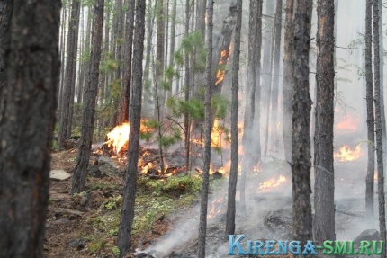 Внимание! В шести районах Иркутской области прогнозируется чрезвычайный класс пожарной опасности лес