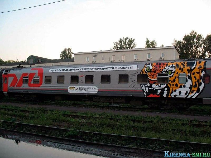 Через Иркутскую область проедут тигриные и леопардовые поезда
