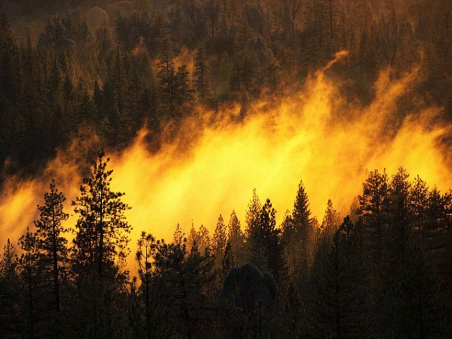Особый противопожарный режим продлен в Иркутской области из-за лесных пожаров