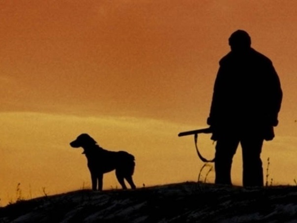 Минприроды РФ расширило сроки охоты с собаками