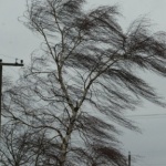 Метеорологи предупреждают об усилении ветра!