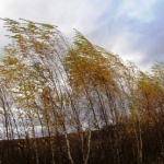 В Иркутской области ожидается ухудшение погодных условий