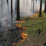 В Иркутской области продолжают ликвидировать лесные пожары