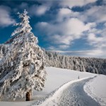 Новогодняя ночь и зимние каникулы на юге Иркутской области будут теплыми