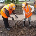 Общественные работы помогают жителям Иркутской области найти постоянный заработок