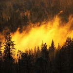 Особый противопожарный режим продлен в Иркутской области из-за лесных пожаров