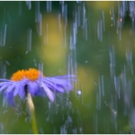 Дожди и грозы ожидаются в Иркутской области в первые выходные июля