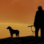 Минприроды РФ расширило сроки охоты с собаками