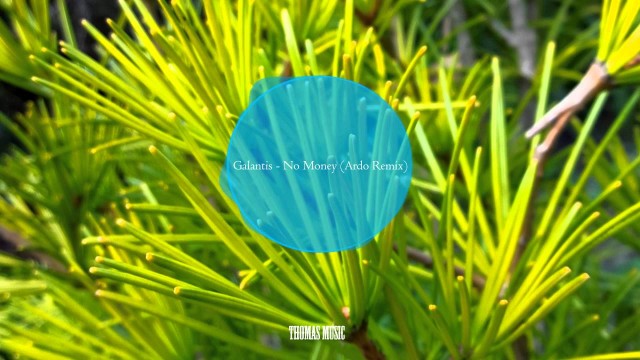 Galantis - No Money (Ardo Remix) (Tropical House Remix)