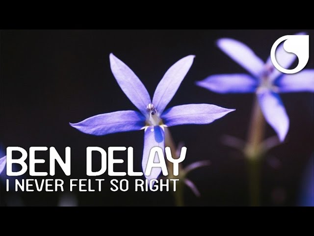 Ben Delay - I Never Felt So Right (Official Lyric Video)